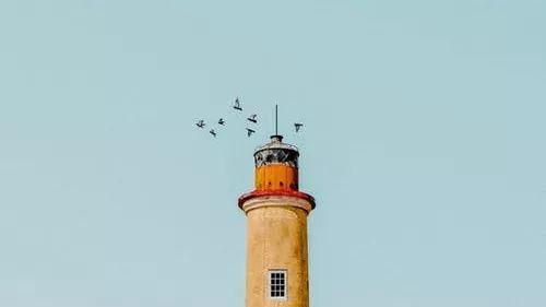 许多|本科or专科？究竟差什么？值得深思