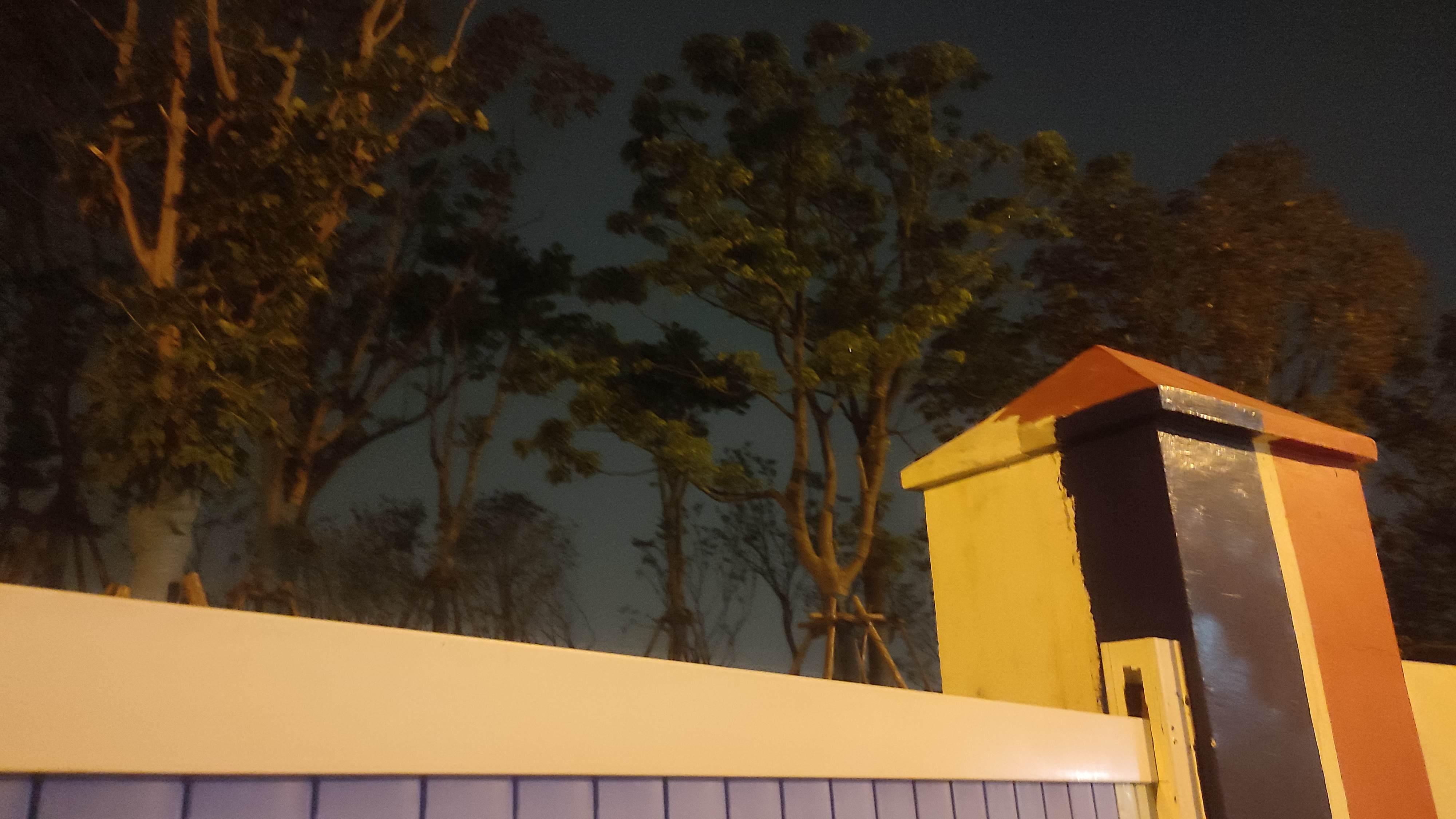 电影|要是我自私一点，不要脸一些，或许当初也就谋得一官半职的了