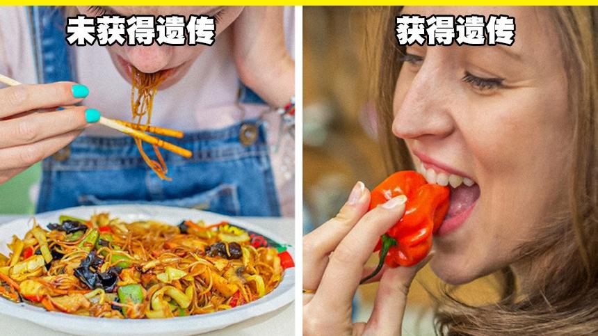 7个看似普通的习惯，其实可以通过父母遗传获得