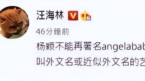 Angelababy|编剧汪海林发文，称Angelababy和辣目洋子改名，是广电总局要求的