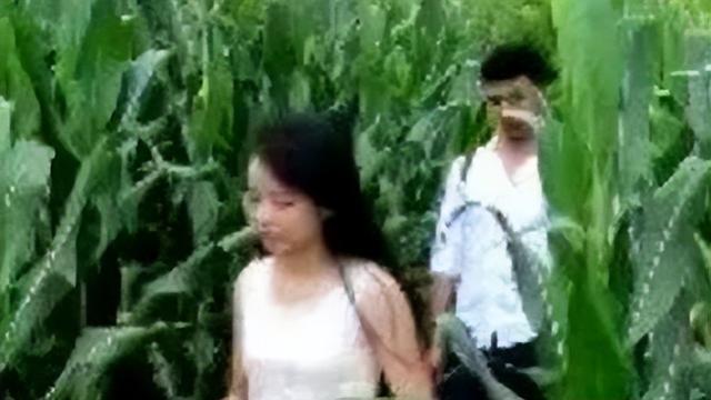 寡妇在玉米地约会，被大学生拍到，照相声却让他丧命