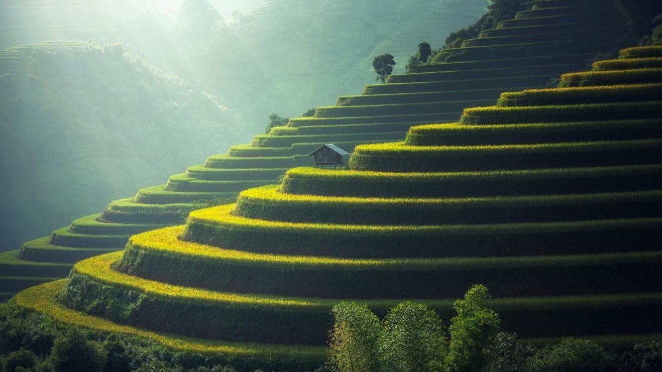 |职场中，不给你发工资，都是在拖延吗