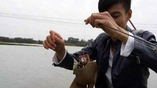 饵料|男子户外钓鱼，意外收获4腿长尾“怪物”，网友：见过钓骨灰盒吗