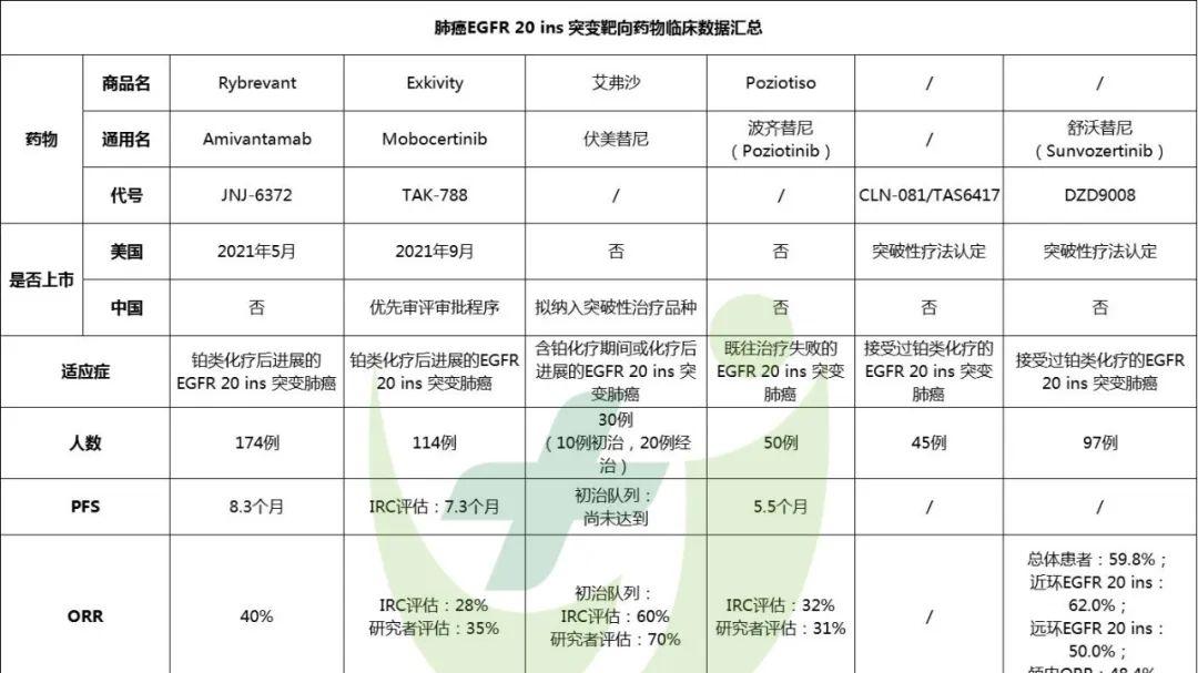 EGFR 20 ins突变非小细胞肺癌患者新选择：舒沃替尼