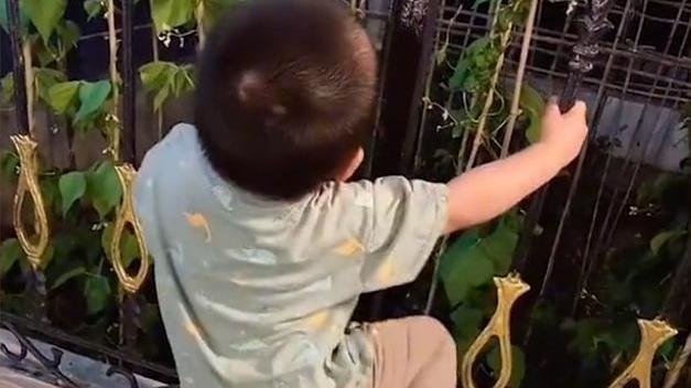 山东女子把老公的鱼养死发愁咋交代，网友看一旁儿子：这有背锅的