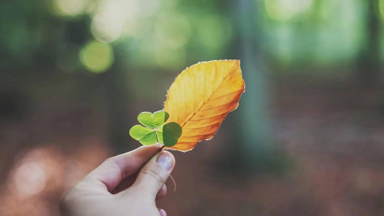 |一个人的教养，都藏在这些细节里