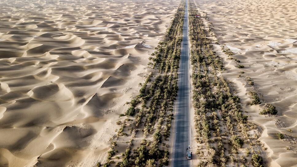 白帝城|这条沙漠中的公路，为保证正常运行，每天会有人给路旁的树浇水