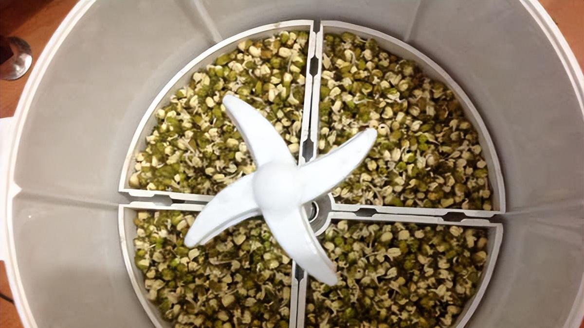 苹果|奉劝大家：别再买“网红家电”了，不是唬人，是花钱买来的教训！