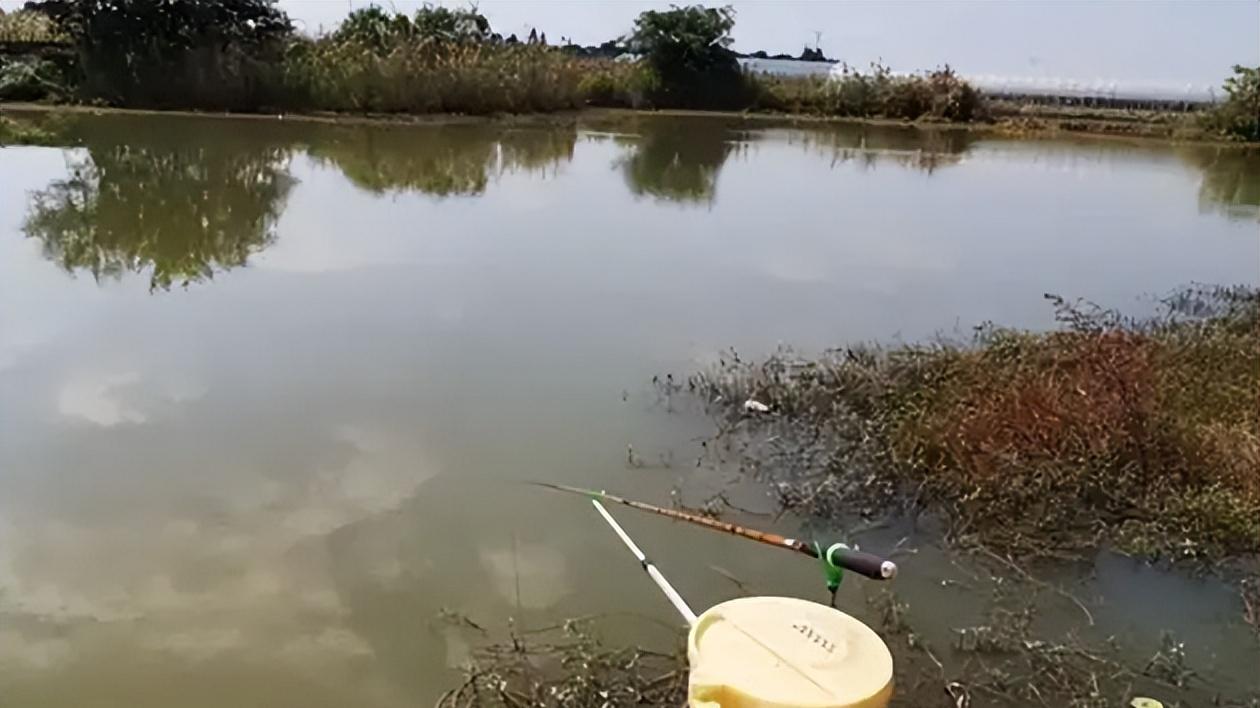 饵料|伏天到，大鱼的“藏身地”在这4处，抢到大鱼上不停，渔获不用愁