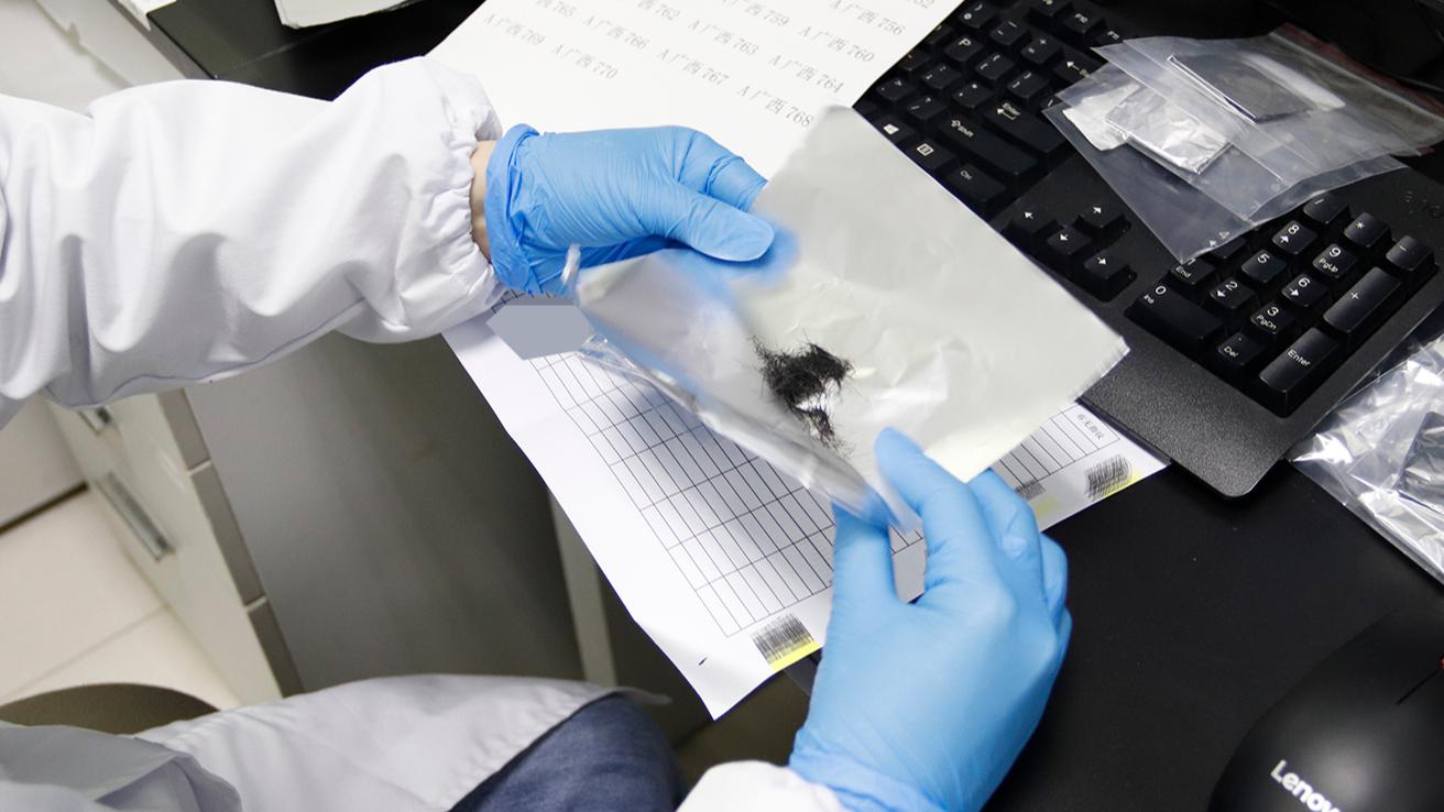 送样过程中毛发样本量过少导致毛发验毒假阴性