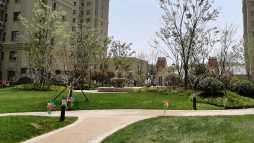 长沙|万万没想到，单价4万的青岛印象品被业主恁了