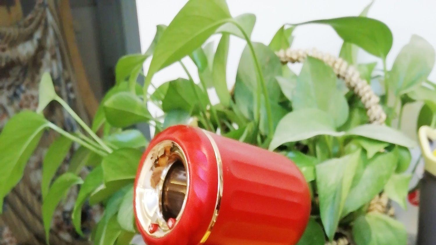 宝宝不爱吹头发，安排这款吹风机！