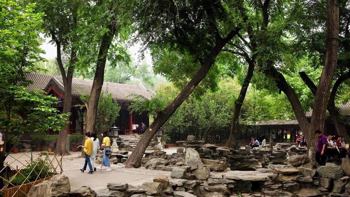 婆婆给大儿媳带娃一年花销八万多，还让小儿子和女儿住到大儿媳家