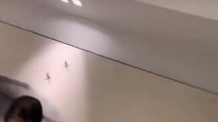 黄晓明|黄晓明，突然登上热搜！