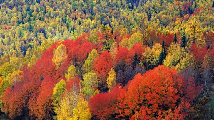 南疆|新疆的秋：北疆风情万种，南疆神秘苍凉