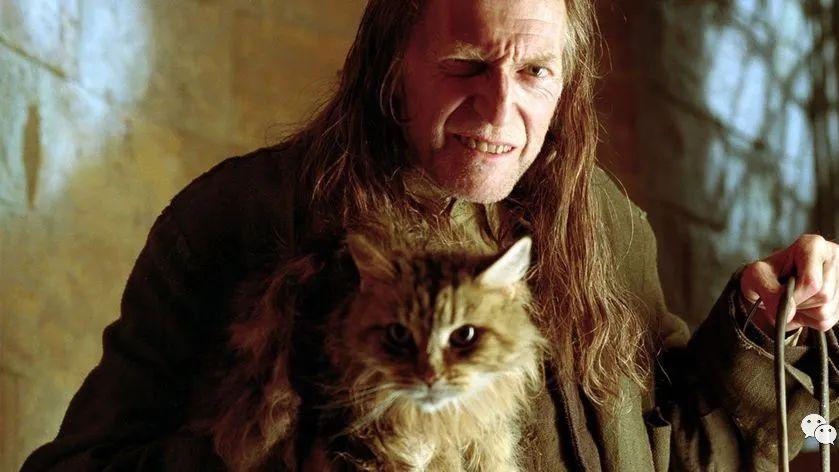 哈利·波特|《哈利·波特与密室》上映20周年：电影和原著的10个不同之处