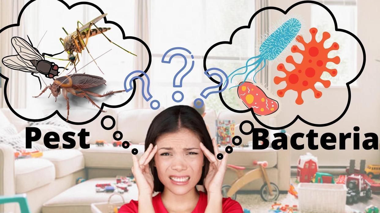 苍蝇在地球上有什么用？若被人为灭绝，会产生什么严重后果吗？