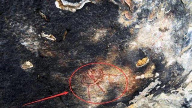 外星人和UFO，出现在1万年前的洞穴壁画。难道地球是被设计好的?