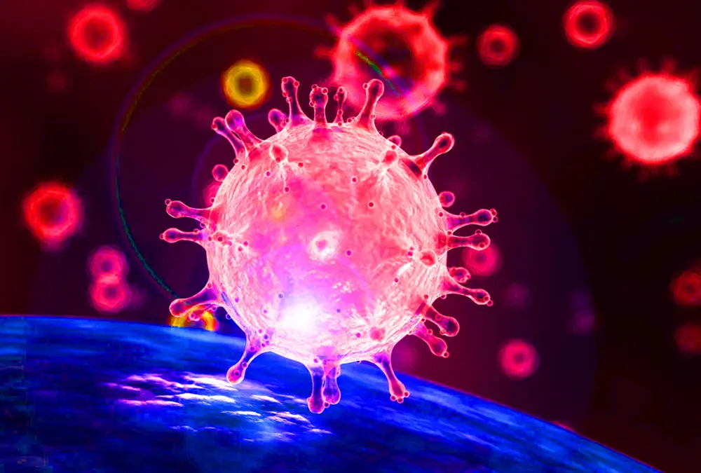 新冠一直是个谜！