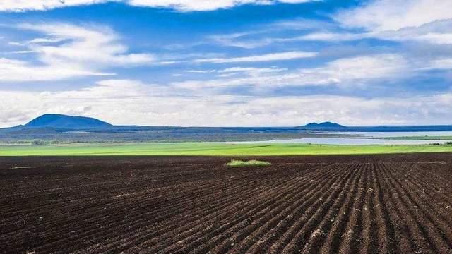 欧洲|黑土地有多珍贵？世界上仅有的3块黑土地，分布在哪些国家