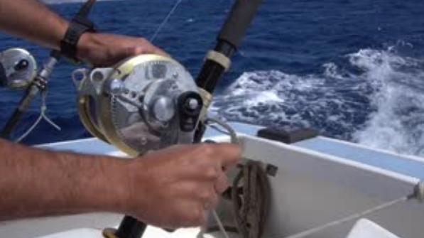 钓鱼大对决|趣谈钓鱼人