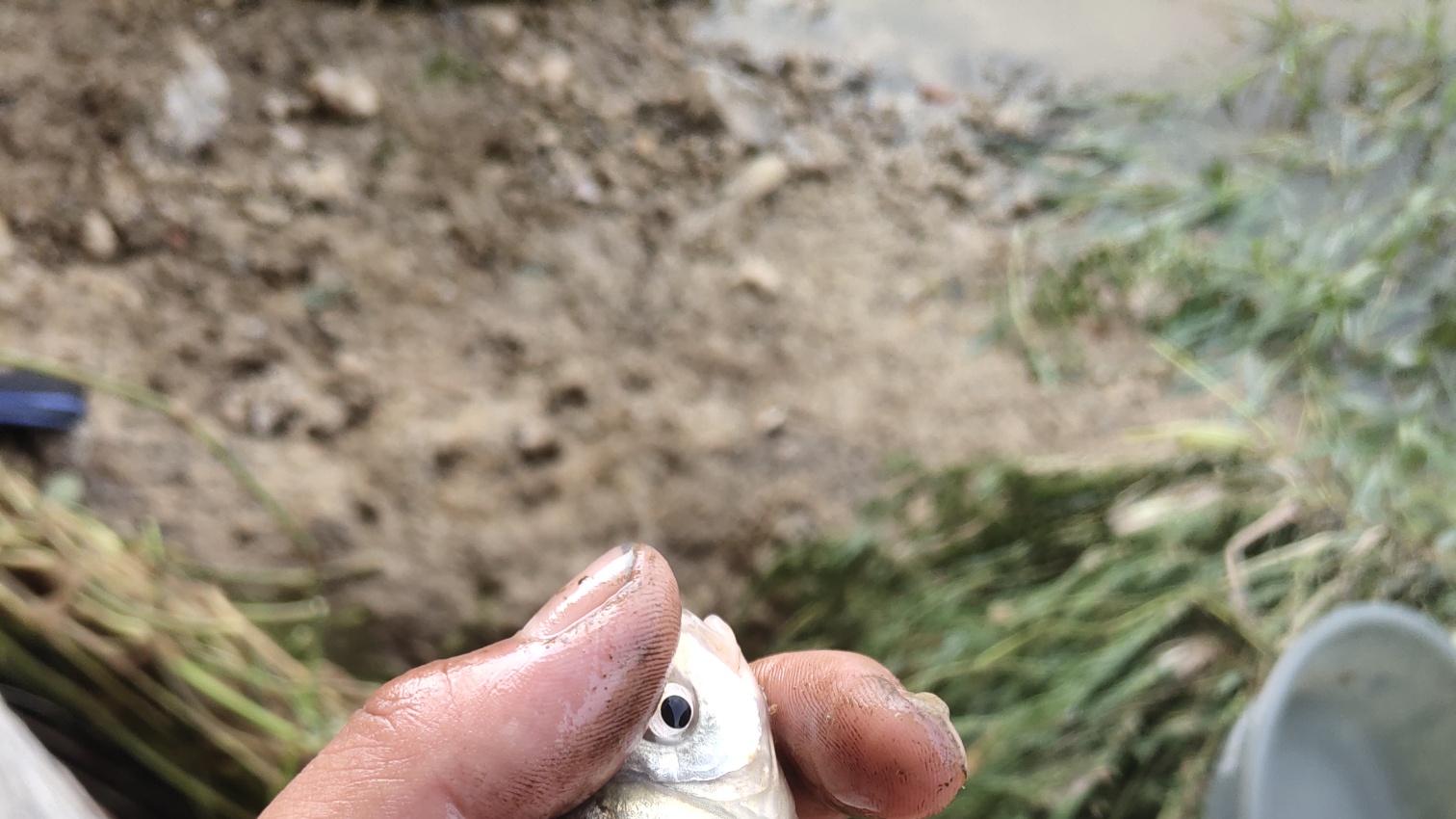 |难得给自己放个假，碰上了小雨连绵，这个假期注定特别好钓鱼