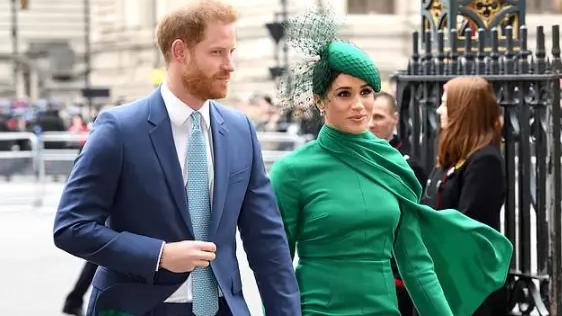 比弗利|梅根不断拜访明星邻居，女演员渴望融入其中，却遭到了众人的嫌弃