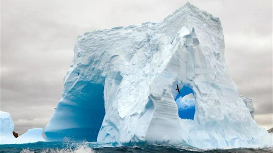 南极发现“地下世界”？科学家在冰下800米的地方，看到了什么？