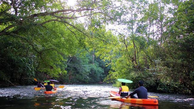 |云南师范大学为何布局勐腊县？
