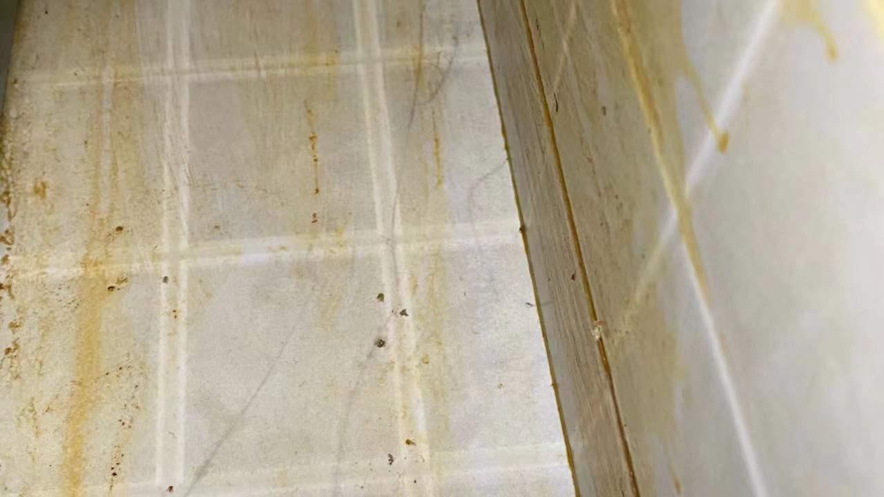 我，55岁，干了保洁20年，终于被我发现“贫穷家庭”的卫生通病！