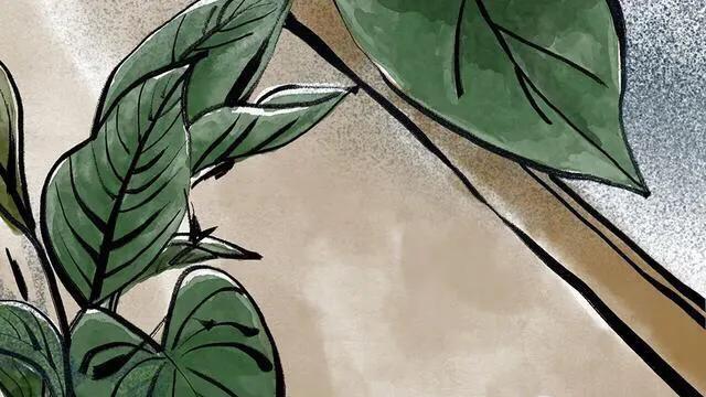 |漫画：在感情中，只有双向奔赴才有意义