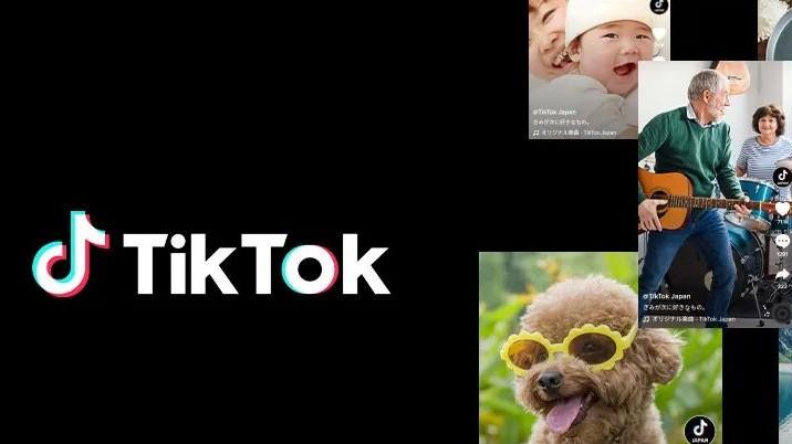 以太坊|TikTok的十大营销经验总结（上）