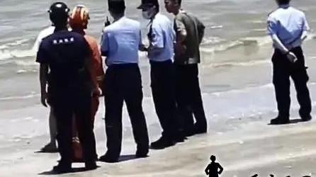 鲘门浅海出现海豚，当地工作人员赶到现场...