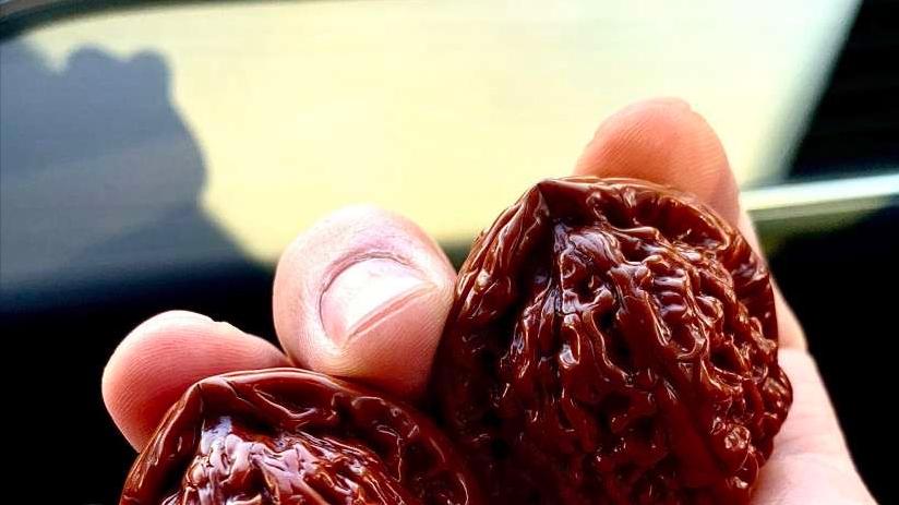 文玩核桃|文玩核桃越玩越轻是什么况？并不是错觉！