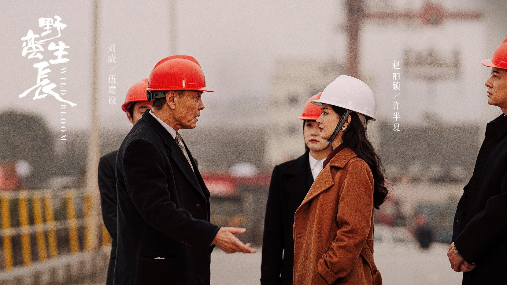 野蛮生长|小时候想当薛杉杉，长大后想成为许半夏，风吹半夏定当11.27