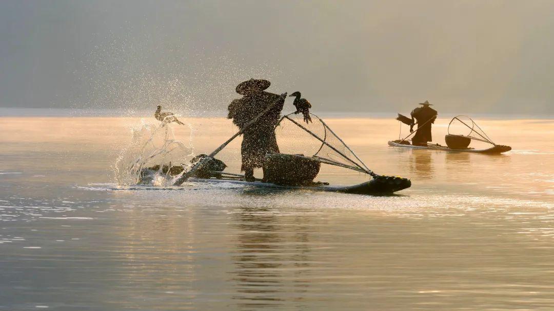 浙江省|你好，十二月！共赏冬酿的时光！| 广西旅游年卡
