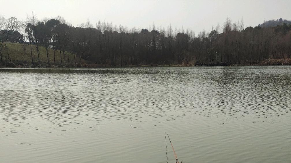 霜降|老钓鱼人发现冬天只要把握一点，霜降冰冻都可以钓鱼