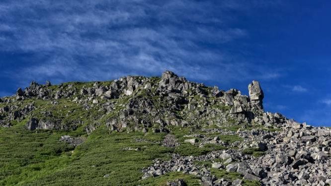 空调|新风空调市场走红的逻辑，市场用户企业各取所需的产物