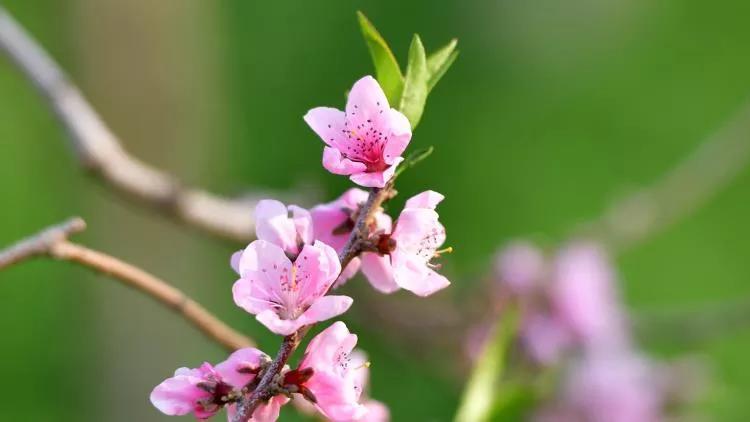 七旬老人坦言：自从和老伴分开后，我宁愿找保姆也不找老伴了