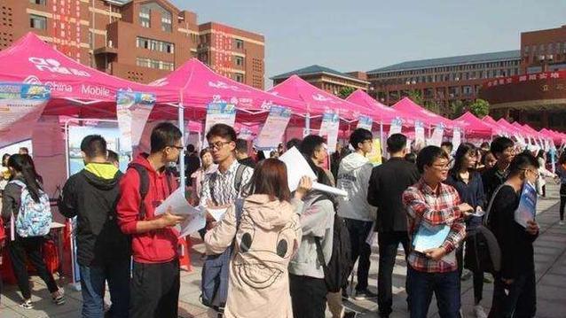 生肖|“校招”跟“社招”有啥差距？经历过才明白两者差距，别弄混了！