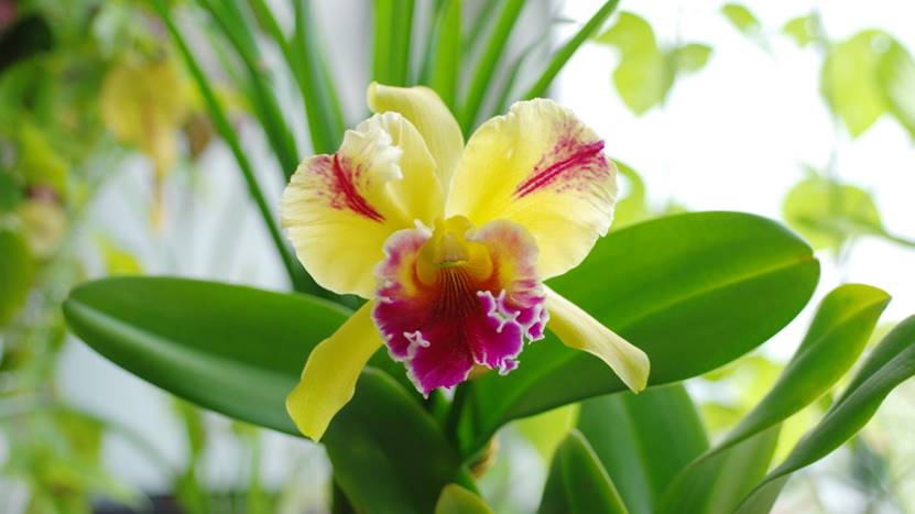 |你现在的工作总是经常加班吗？高手都为自己设定的下班时间。