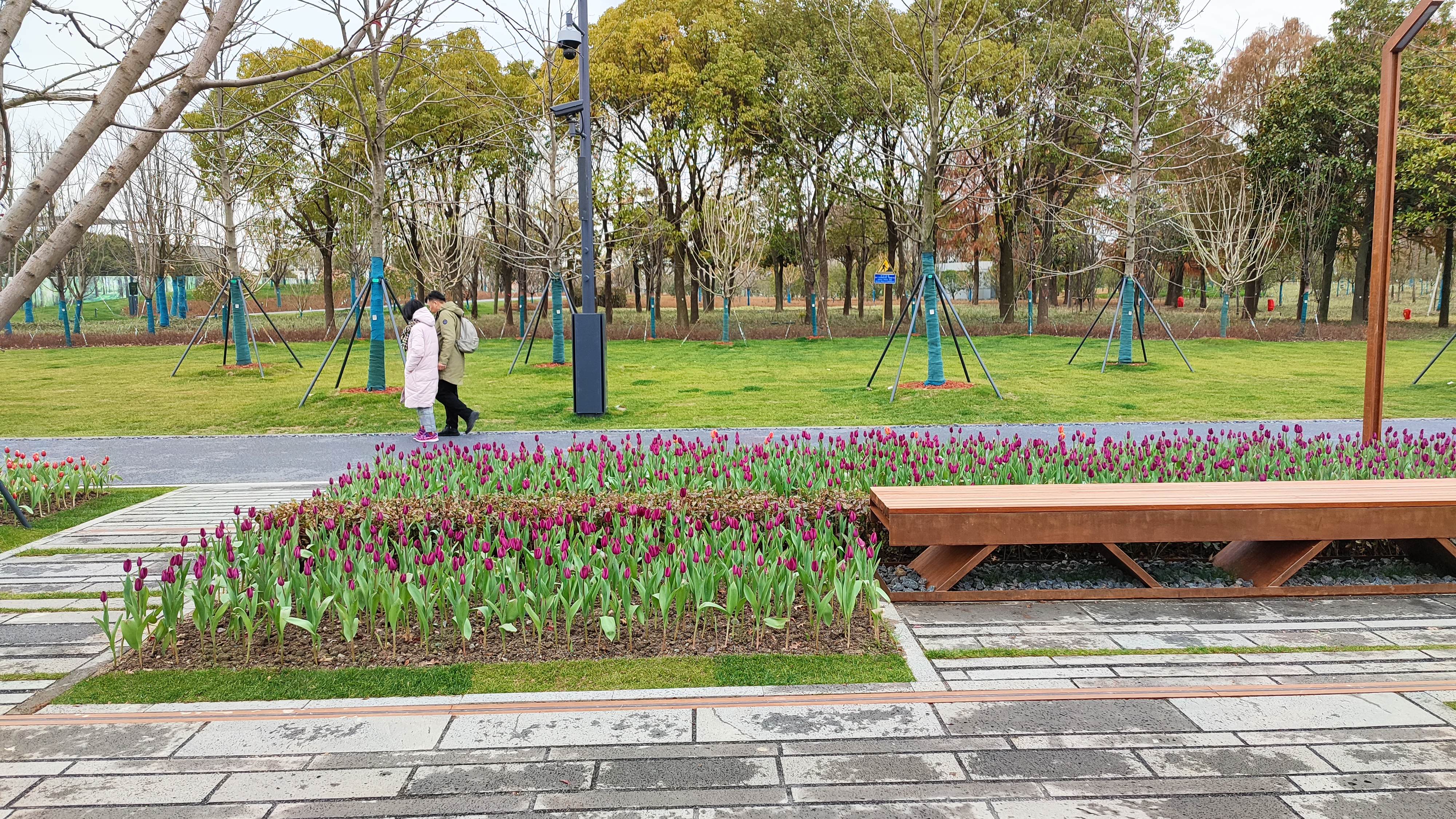 |领导不会觉得是你的层次低，只是会觉得这个人确实是笨了一点