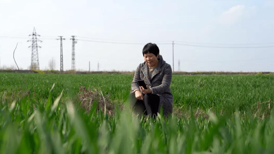 2021年，河南农妇登联合国演讲，归国后全网劝她离婚，离了吗？