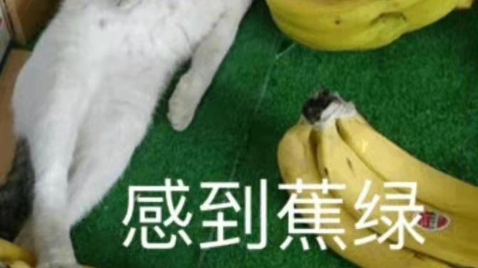 发票丢了处理不好要出大问题！这几个处理方法一定要牢记！