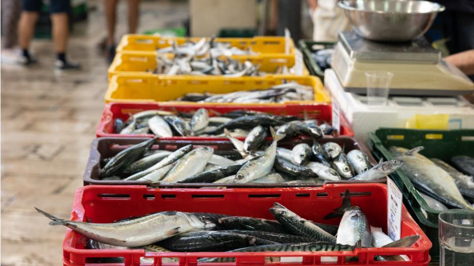 为争一条鱼，两名鱼贩大打出手且均受伤，耗时六年，没有赢家！