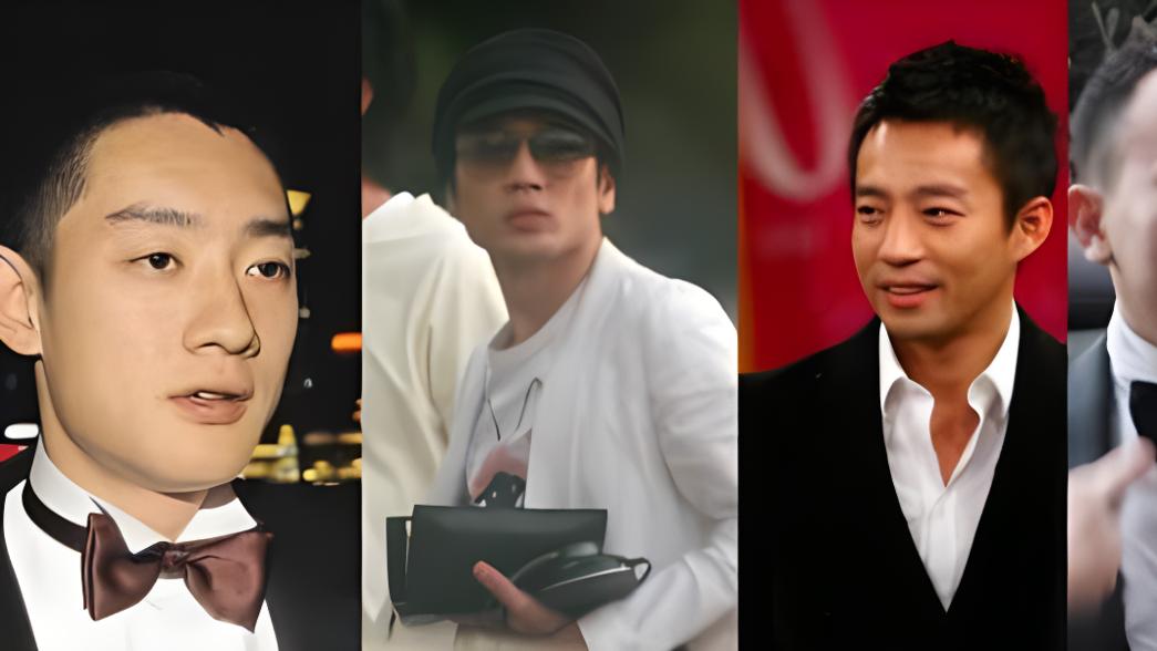 王珂|当年王烁开车和王珂相撞，持枪威胁王珂，王烁的家中有4支手枪