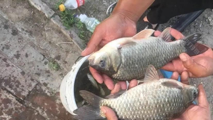 空军|钓鱼：饵料和装备只是基础，想钓到鱼就要学会“找鱼”