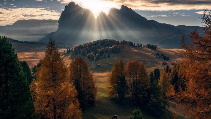 离职|职场如战场，勾心斗角如同家常便饭