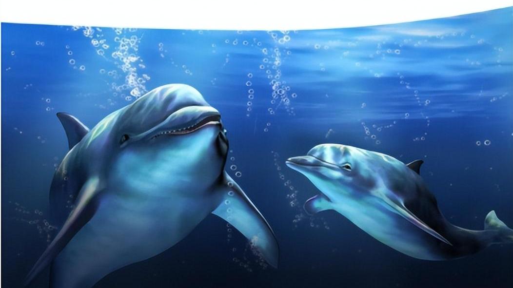 梦华录|【科普】虚拟现实分类，你知道多少？