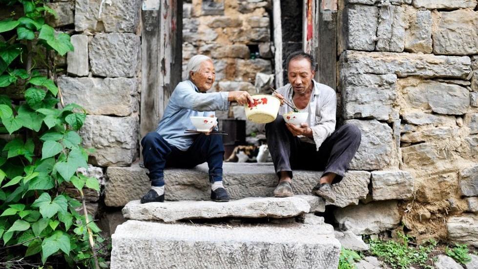 为什么越来越多的人，向往田园生活呢？他们或许并不是真的向往